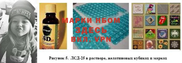 a pvp Абаза