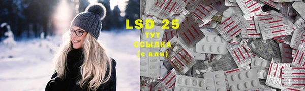 шишки Абинск