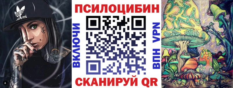 Галлюциногенные грибы Magic Shrooms  где купить   Алапаевск 