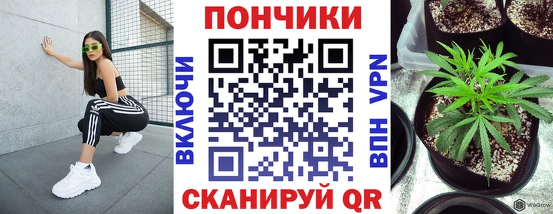 где можно купить наркотик Алапаевск Конопля LSD WEED